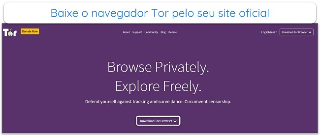 Imagem da página inicial do Projeto Tor.