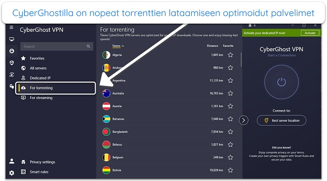 Kuvakaappaus CyberGhostin torrent-optimoiduista palvelimista