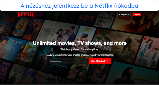 Képernyőkép a Netflix bejelentkezési oldaláról