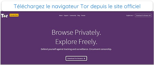 Image de la page d'accueil du projet Tor.