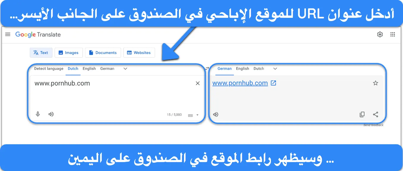 واجهة ترجمة جوجل تعرض ترجمة حول مشاهدة محتوى للبالغين بأمان.