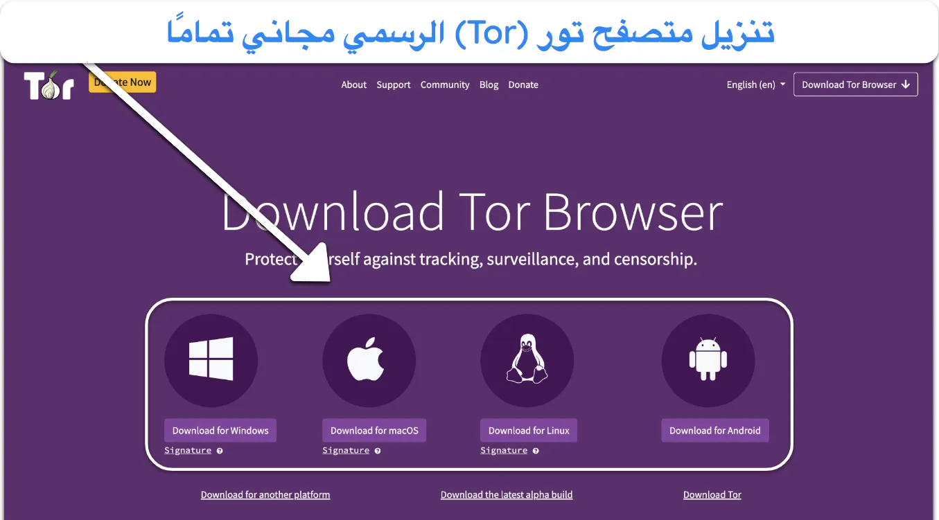 صورة للموقع الرسمي لمتصفح Tor، تُبرز خيارات التنزيل المجانية.