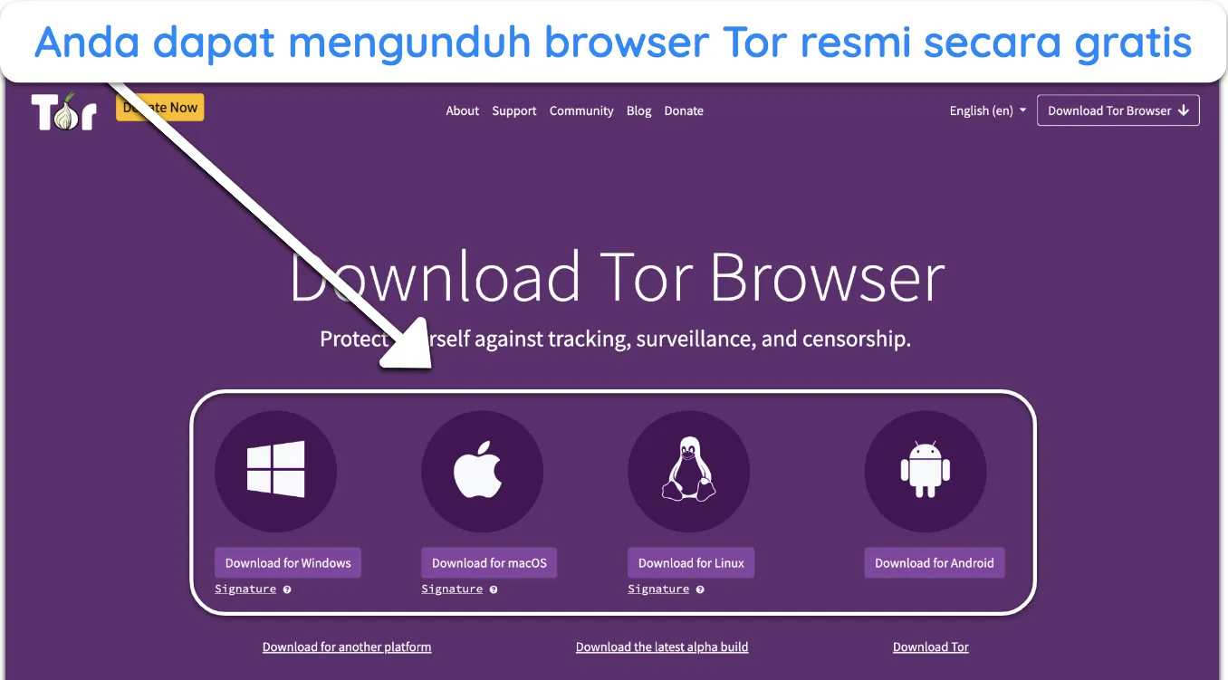 Gambar situs web resmi peramban Tor, yang menyorot opsi unduhan gratis.