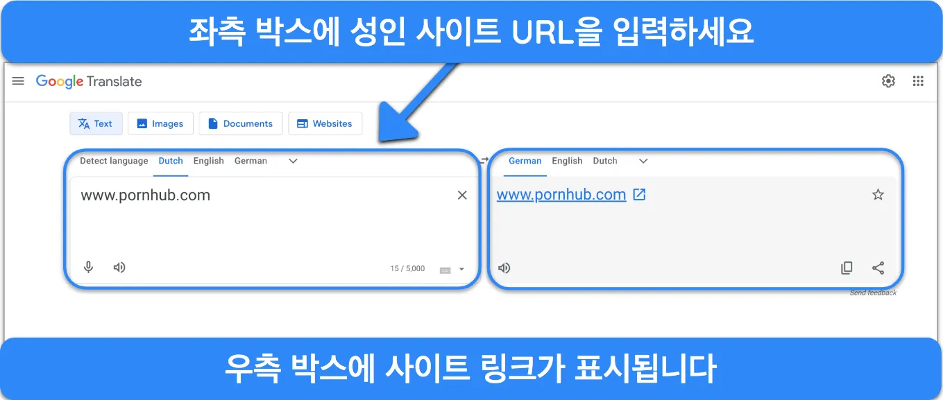 성인 콘텐츠를 안전하게 시청하는 것에 대한 번역을 보여주는 Google Translate 인터페이스.