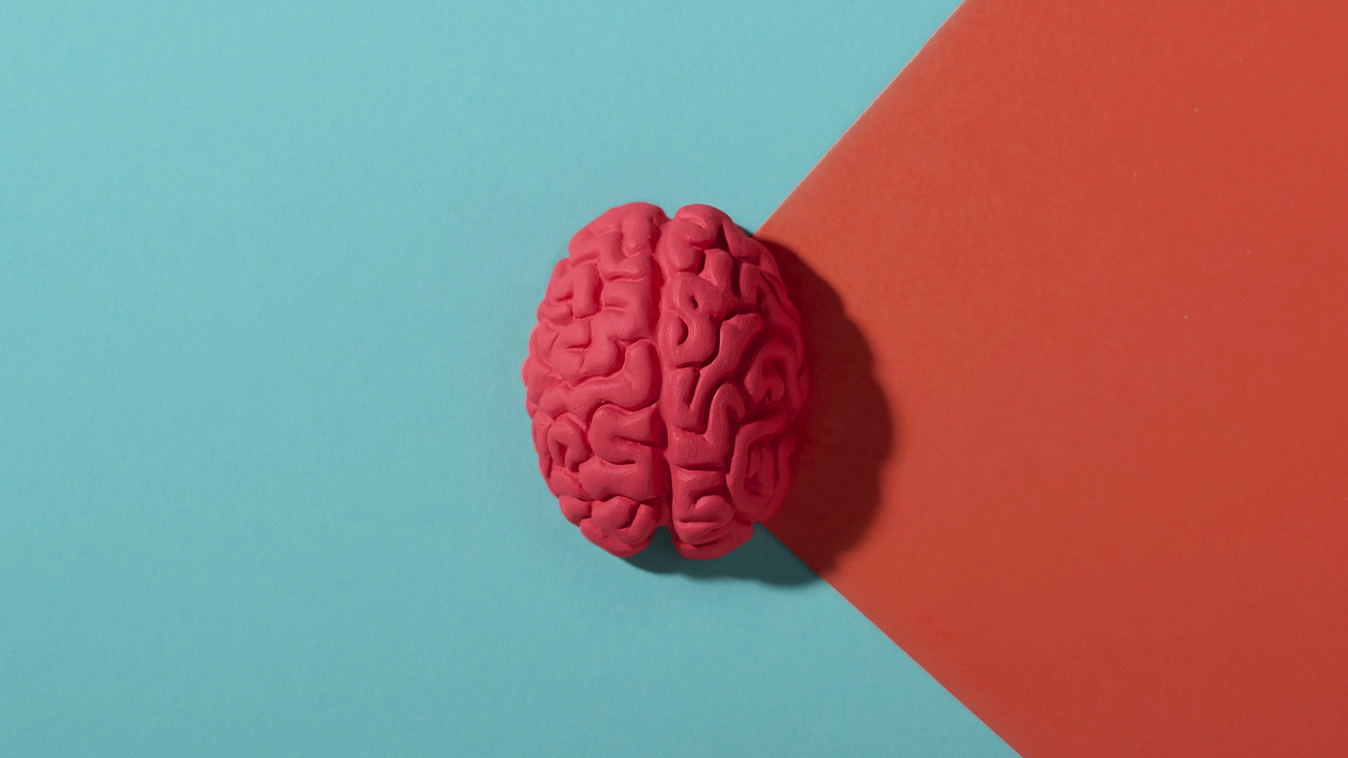 Mind-to-Speech AI Translates Brain Waves Into Speech