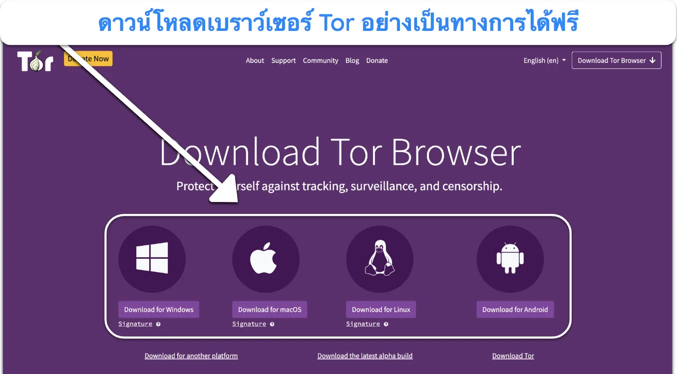 รูปภาพของเว็บไซต์ทางการของเบราว์เซอร์ Tor ซึ่งเน้นตัวเลือกดาวน์โหลดฟรี