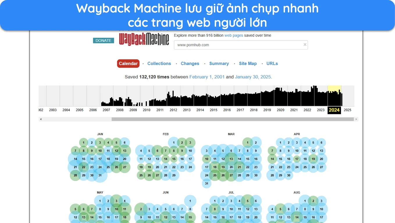 Ảnh chụp màn hình các trang lưu trữ của Wayback Machine cho Pornhub năm 2024.