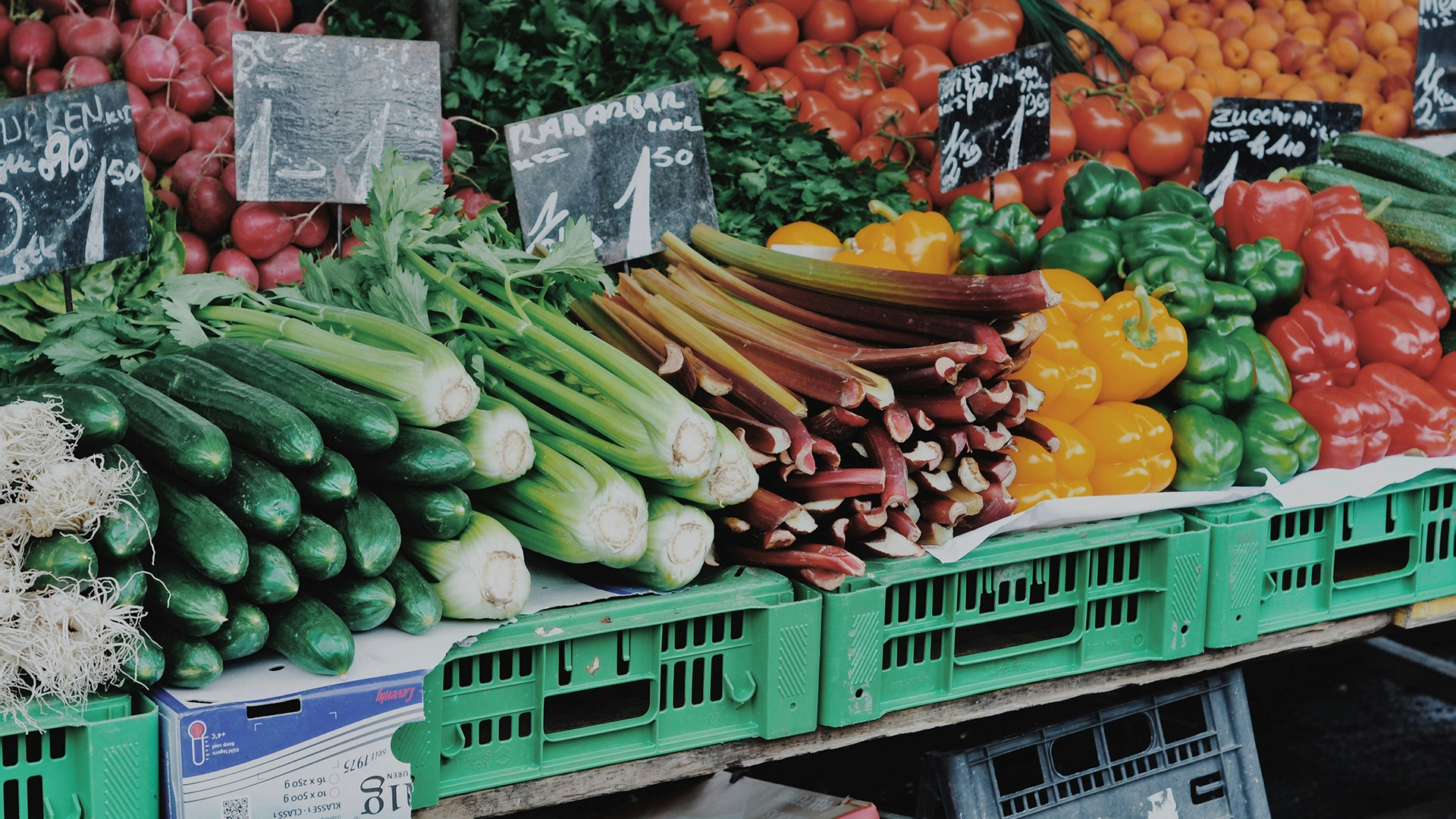 AI Tool Trial Targets UK Food Waste, Millions Of Meals Could Be Saved