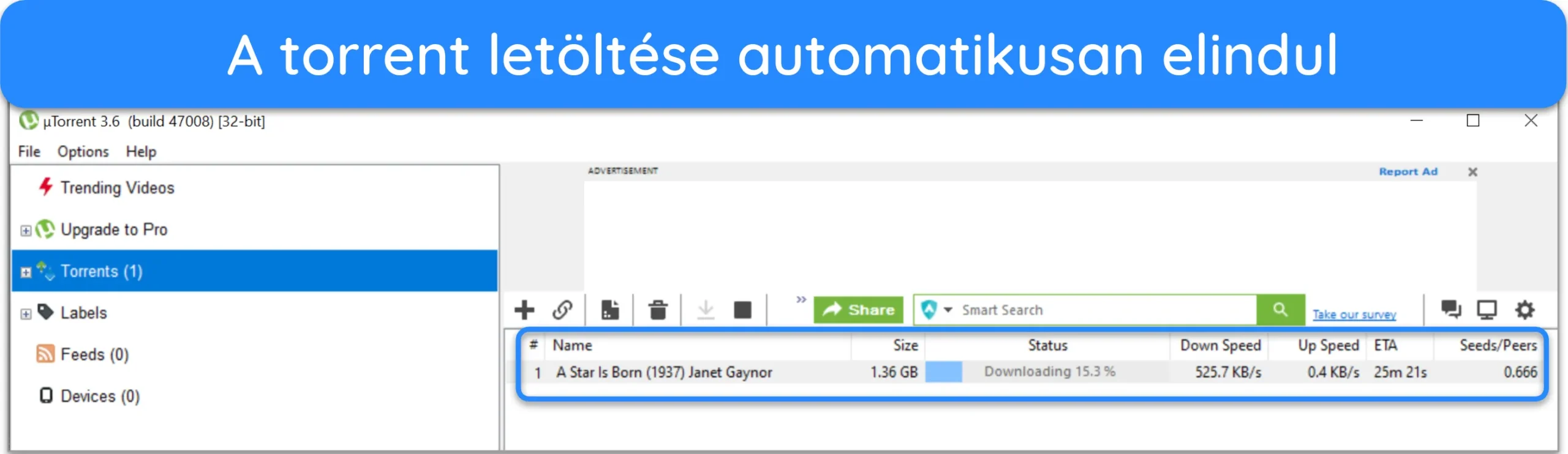 Képernyőkép az uTorrentről letöltött torrent fájlról.