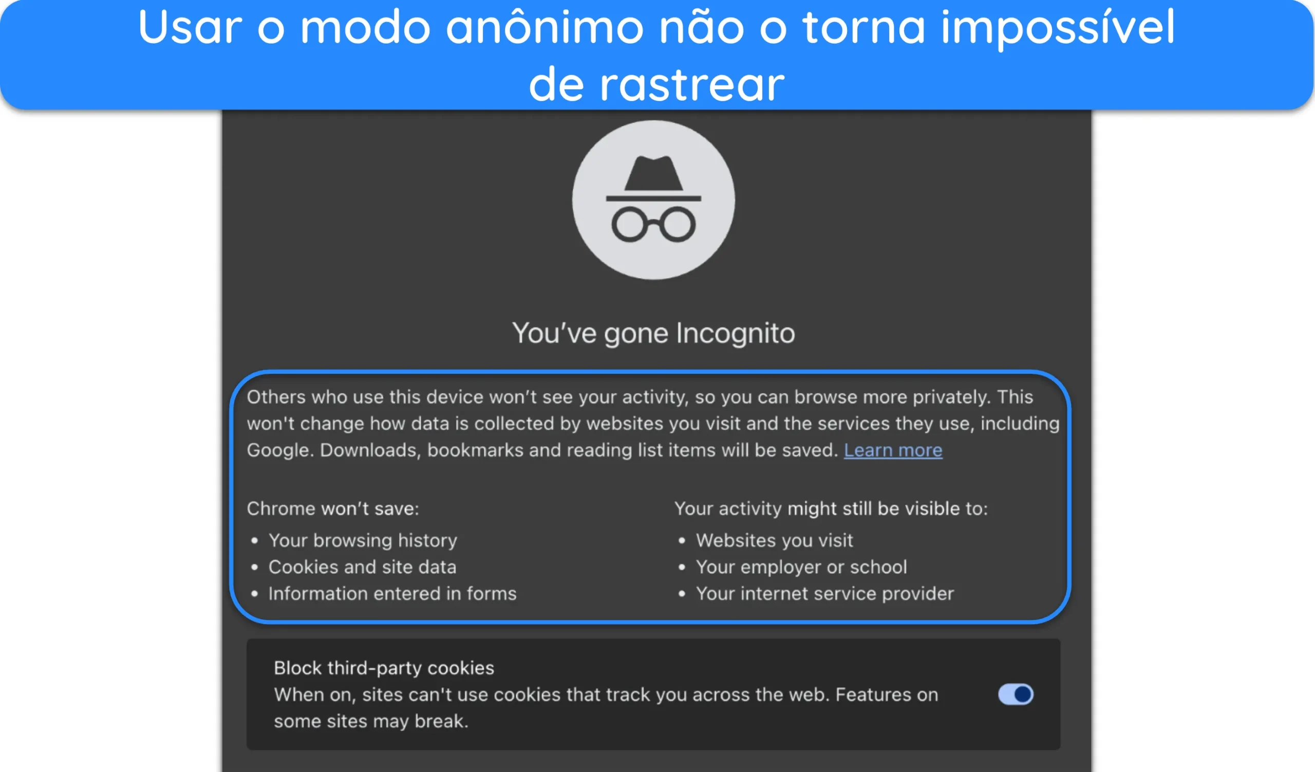 Captura de tela da interface do modo anônimo do Google Chrome.