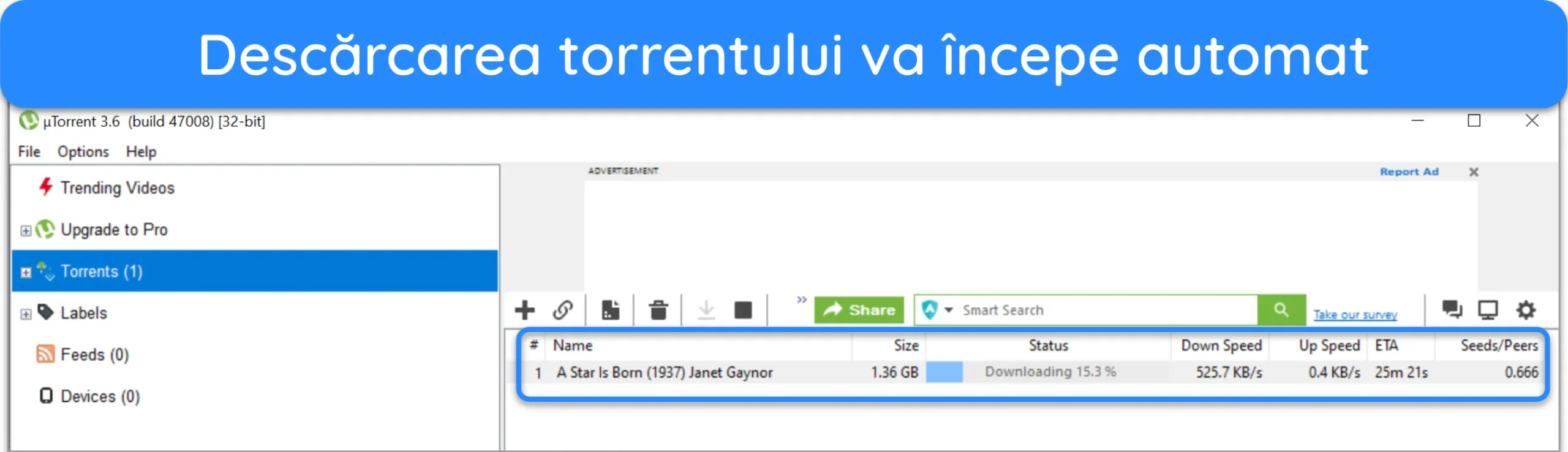 Captură de ecran a unui fișier torrent descărcat pe uTorrent.