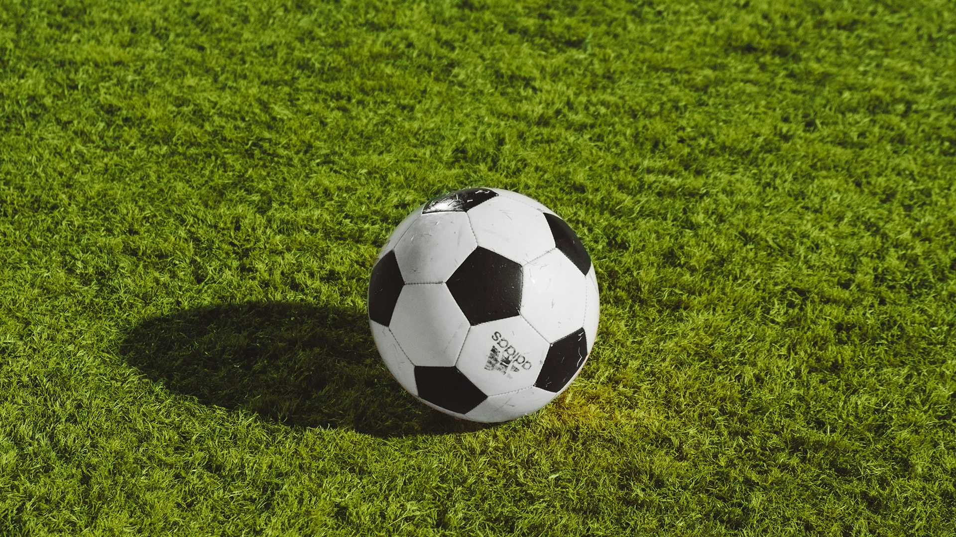 Humanoid Robots Play Soccer Tournament in China