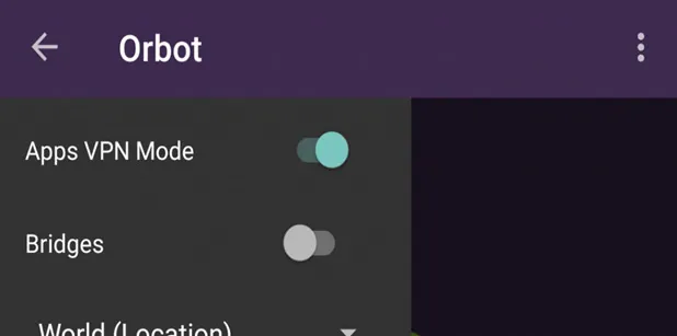 将 Orbot 与 VPN 结合使用