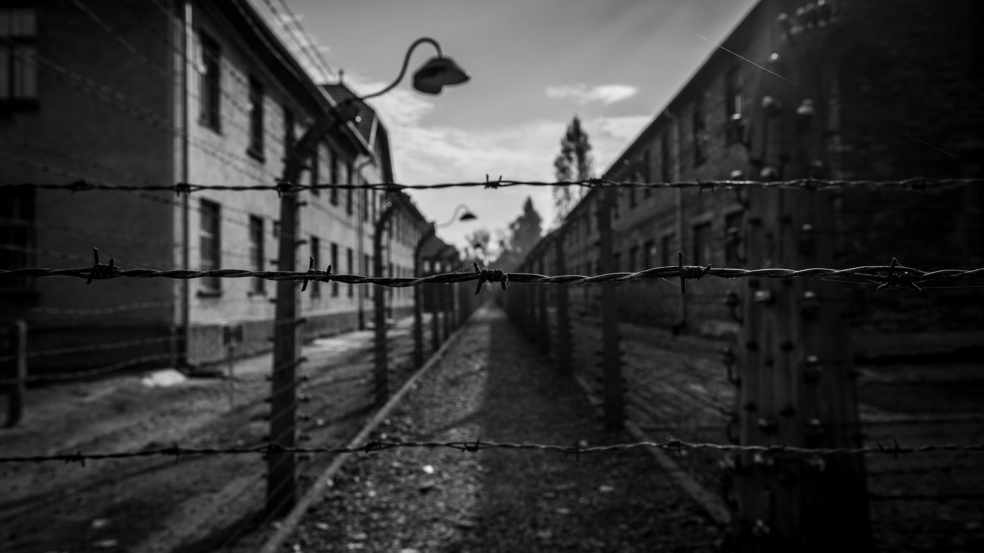 BBC Exposes AI Holocaust Image Scam On Facebook