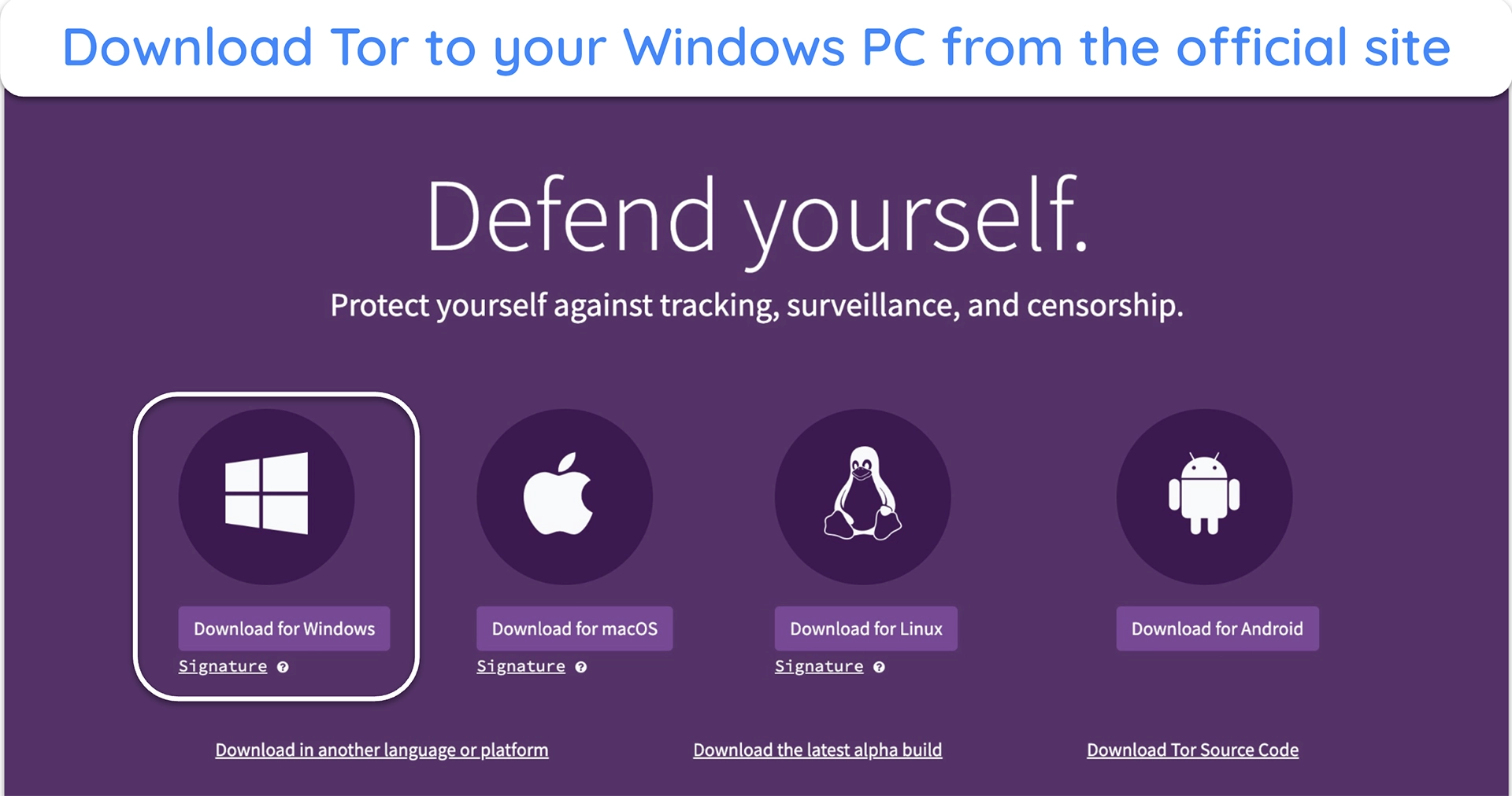 image of Tor Project website with 