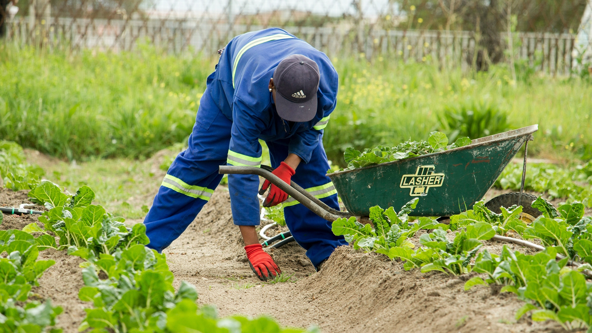 AI Weather Forecasts May Help Farmers Combat Climate Risks, But Bring New Concerns
