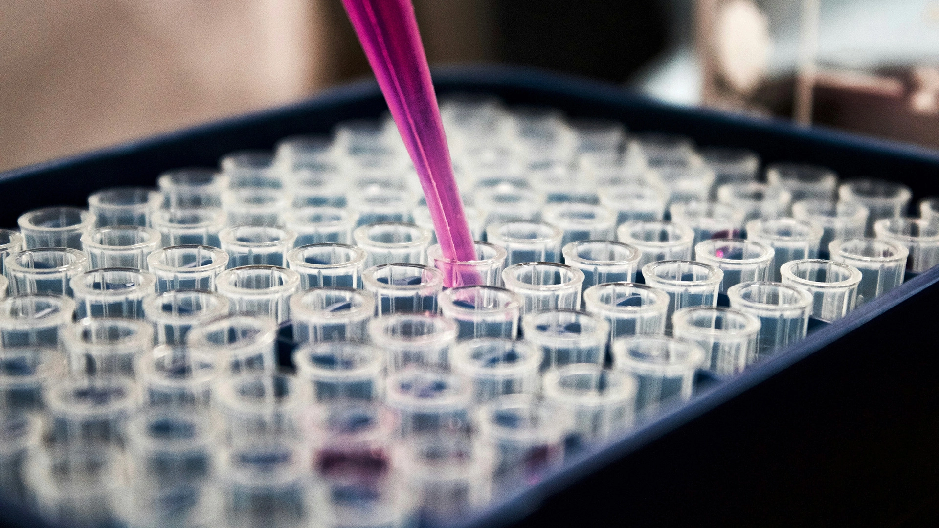 DNA Screening Under Threat As AI Designs Undetectable Toxins