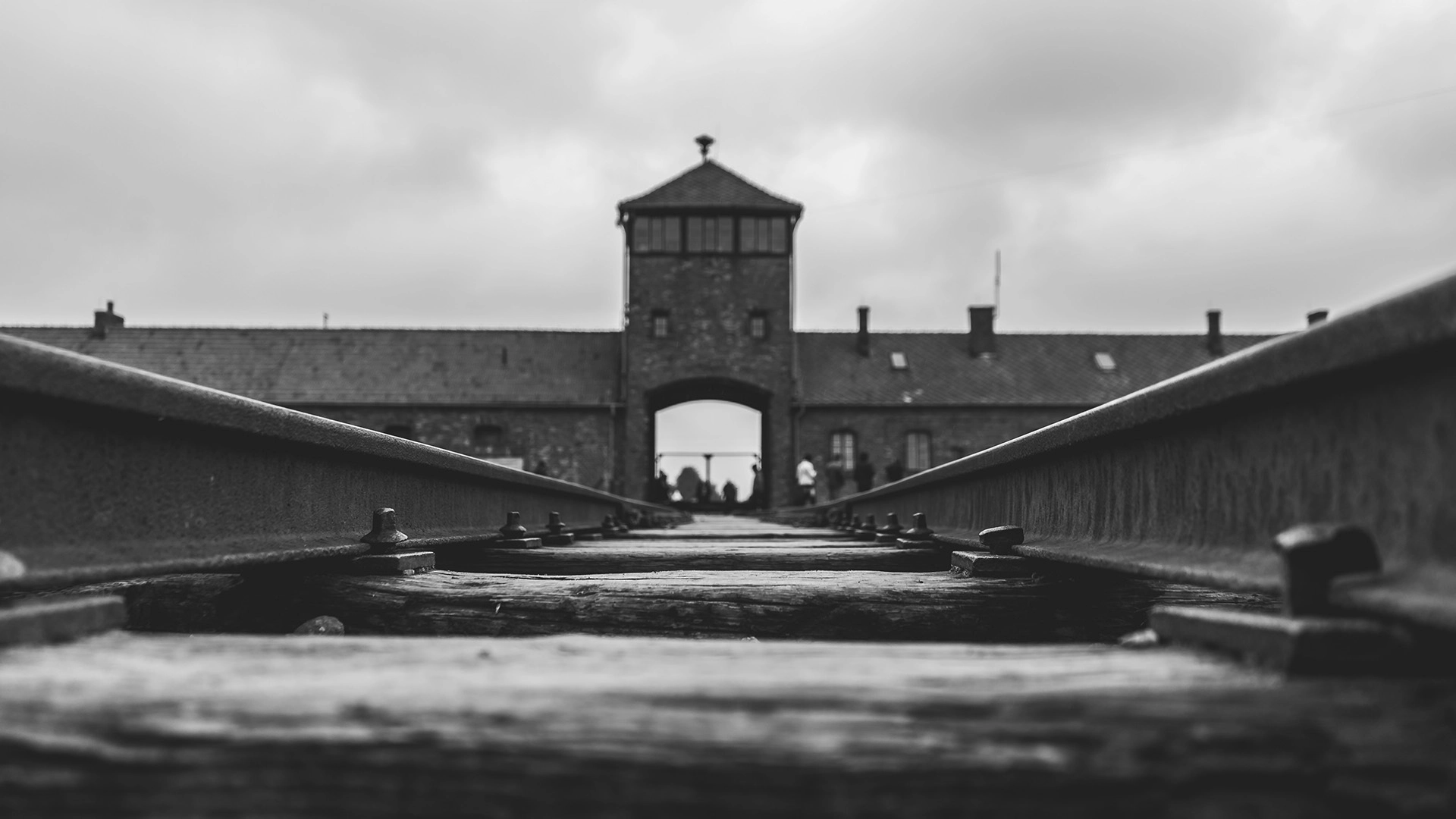 AI Helps Solve Decades-Old Mystery Of Holocaust Massacre Image