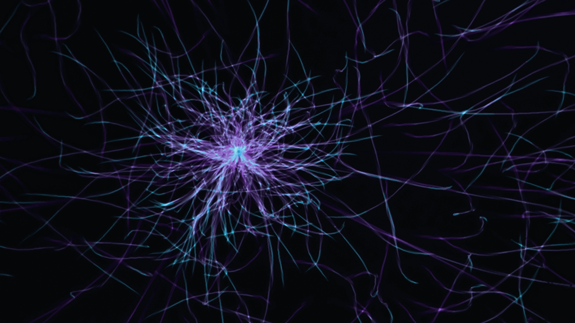 Mira Murati’s Thinking Machine Launches Training API Tinker