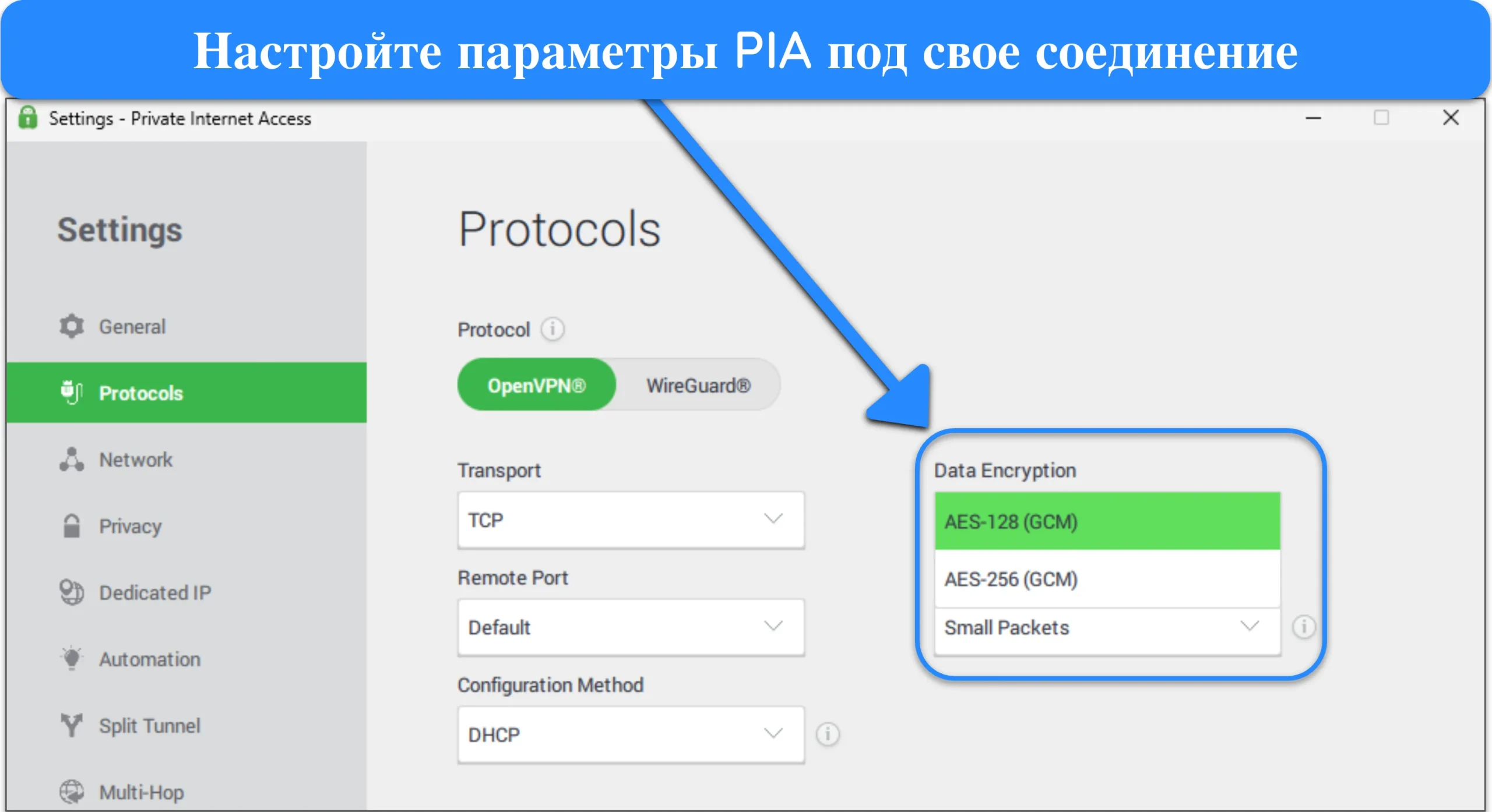 Изображение приложения PIA для Windows, демонстрирующее параметры настройки протокола.
