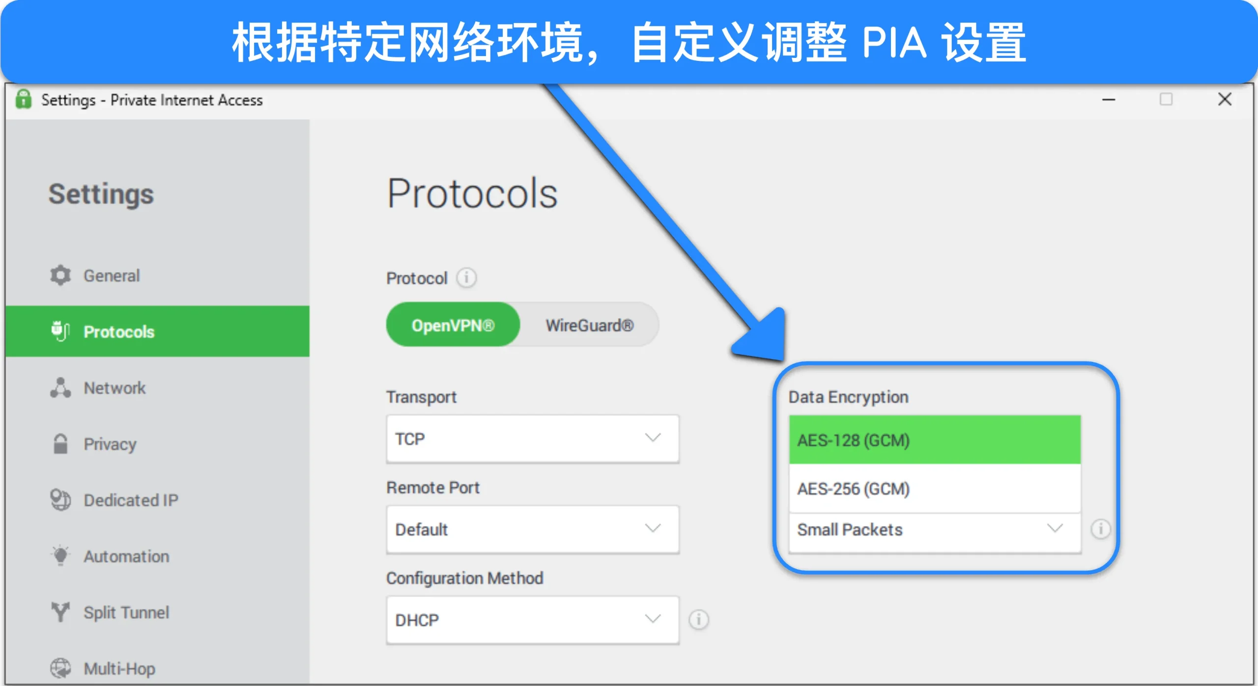 PIA Windows 应用的图片，突出显示了其协议自定义选项。
